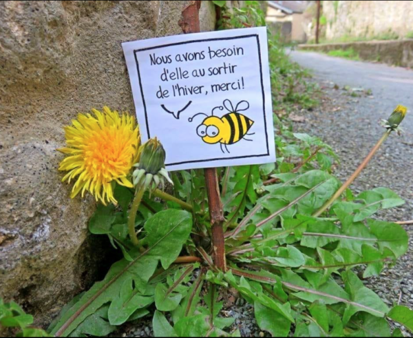 Source de nourriture pour les abeilles ...