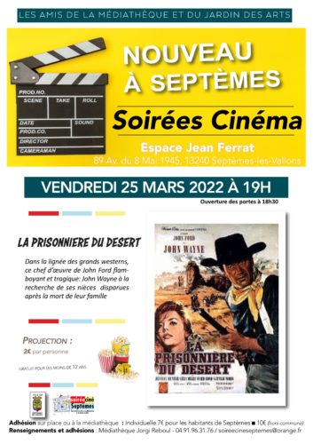 Soirée cinéma