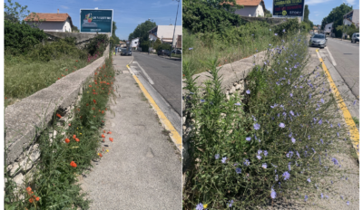 Le bord des routes : mi-mai 2023 / mi-juin 2023
