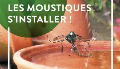 Ne laissons pas les moustiques s’installer !
