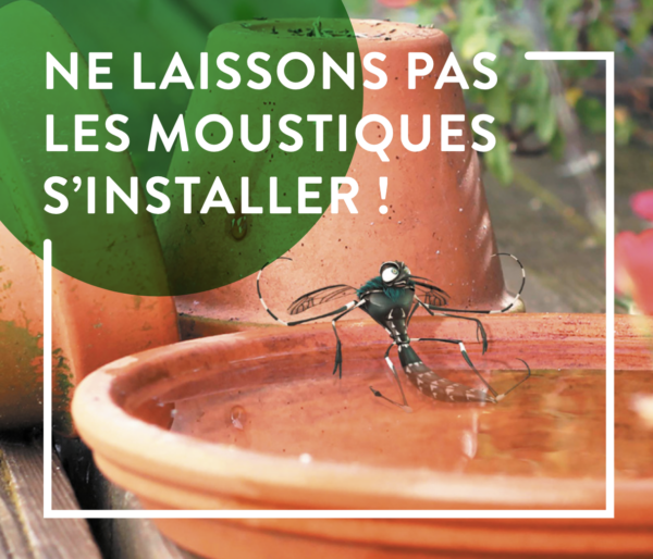 Ne laissons pas les moustiques s'installer !