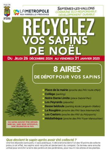 RECYCLEZ VOS SAPINS DE NOËL