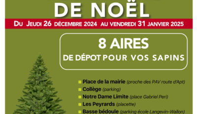 RECYCLEZ VOS SAPINS DE NOËL