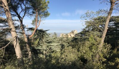 Accès aux massifs, consultez le risque incendie jour par jour