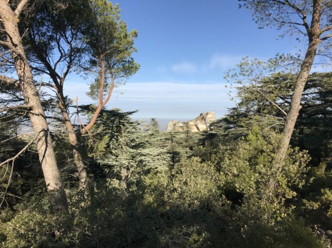 Accès aux massifs, consultez le risque incendie jour par jour