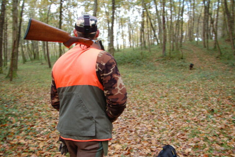 C’est l’ouverture de la chasse !
