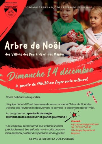 Arbre de Noël de la MJC des Peyrards