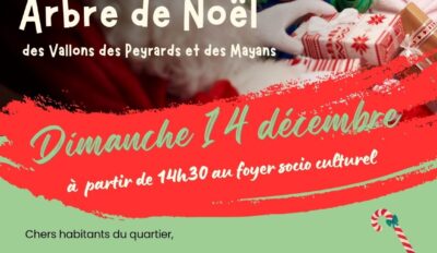 Arbre de Noël de la MJC des Peyrards