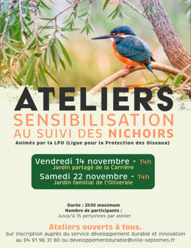 Atelier de sensibilisation au suivi des nichoirs 2/2