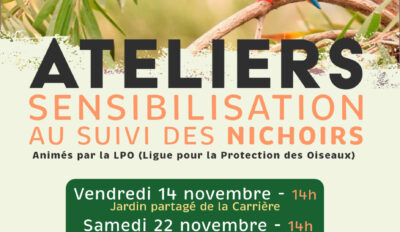 Atelier de sensibilisation au suivi des nichoirs 2/2