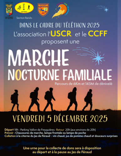 Marche nocturne familiale au profit du Téléthon