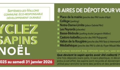 Recyclez vos sapins de Noël