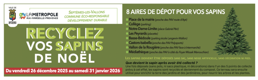 Recyclez vos sapins de Noël