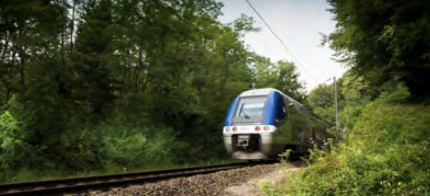 Les programmes de traitement de la végétation sur le réseau ferré national