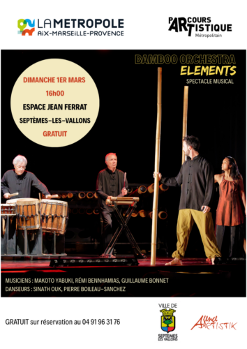 Spectacle musical par Bamboo Orchestra