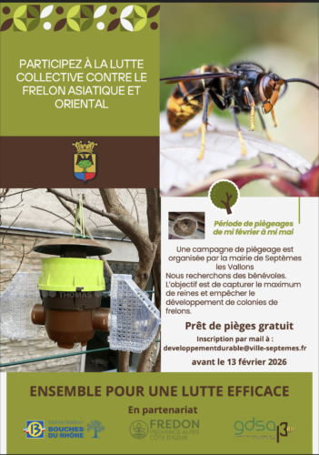 Participez à la lutte contre le frelon asiatique et oriental
