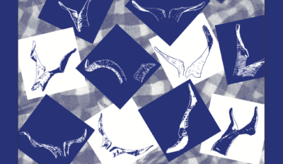 Exposition “Les cornes de l&rsquo;Étoile” par Joana Teule